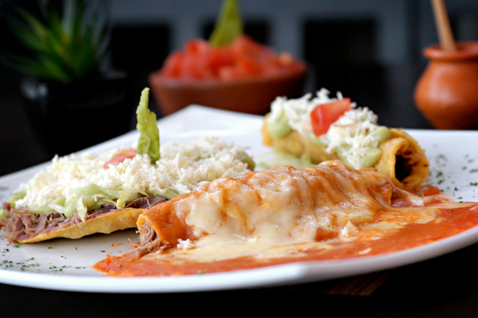Saucy Weeknight Chicken or Beef Enchiladas